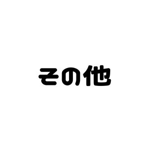 その他